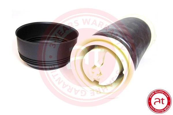 Air Spring, suspension